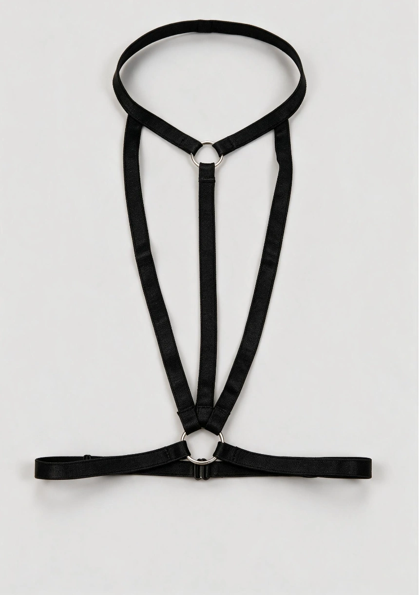 Harness do biustonosza z chokerem i paskami